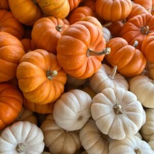 30-count mini pumpkin sack in orange or white, ideal for layering in fall porch décor.