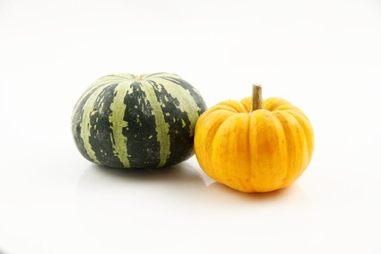 pumpkin, vegetables, fall, harvest, healthy, food, pumpkin, pumpkin, pumpkin, pumpkin, pumpkin